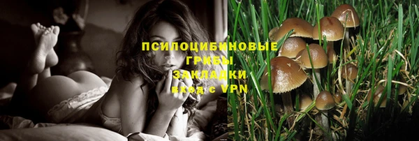марки nbome Алзамай