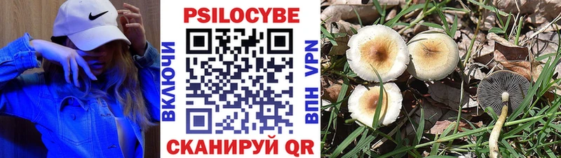 darknet наркотические препараты  Мантурово  Галлюциногенные грибы Psilocybe 